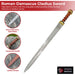 Damascus Steel Roman Gladius Sword